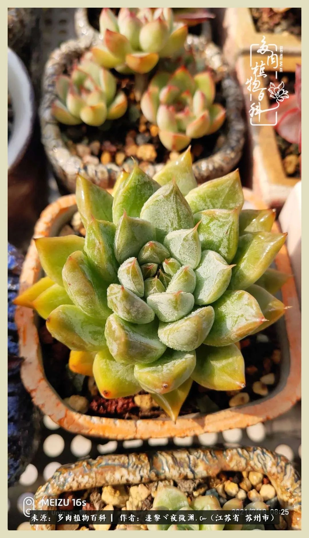 秋尽冬来岁月不居时节如流,岁月不居时节如流水