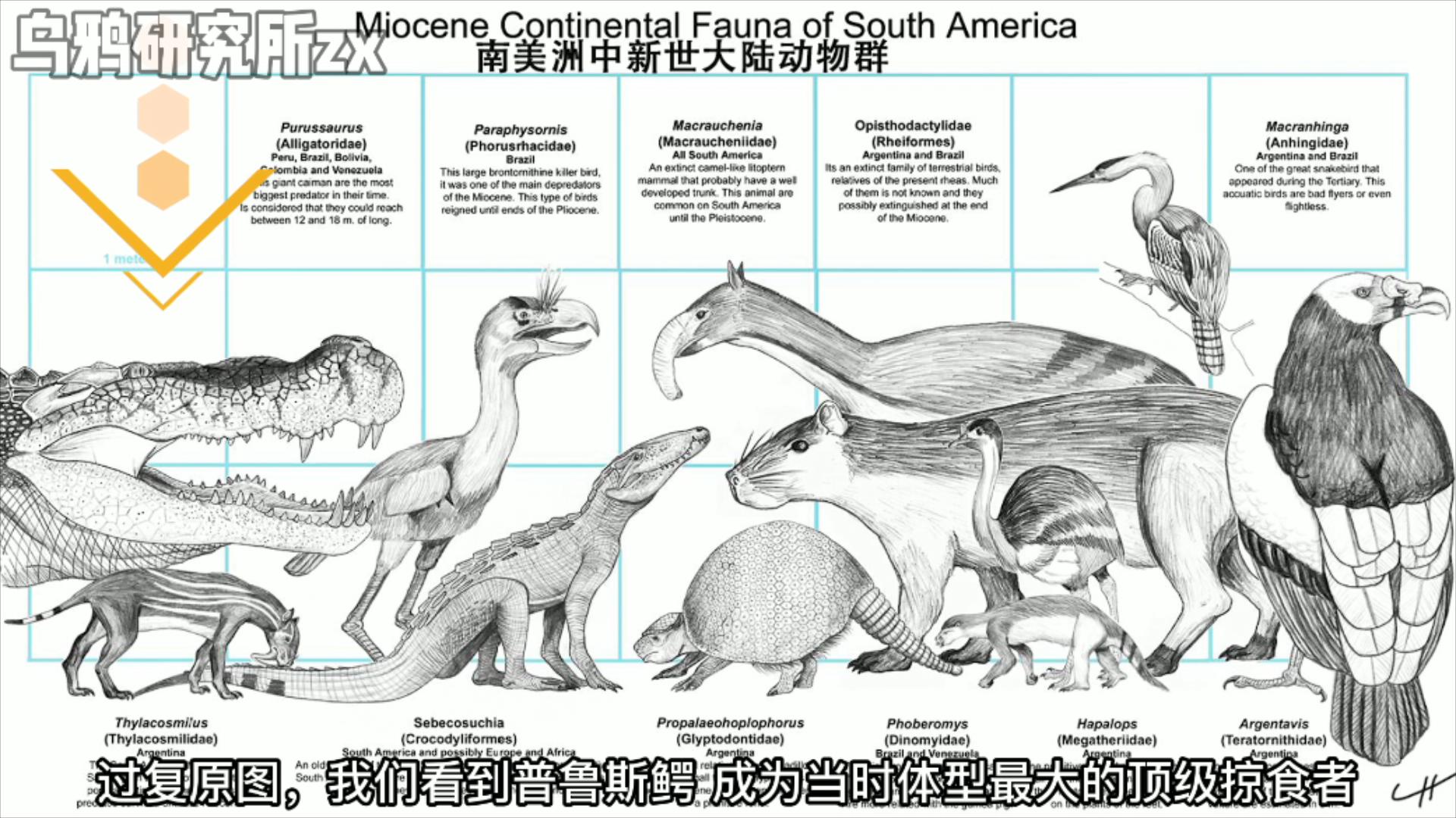 史前三大恐龙,远古三大巨鳄区别