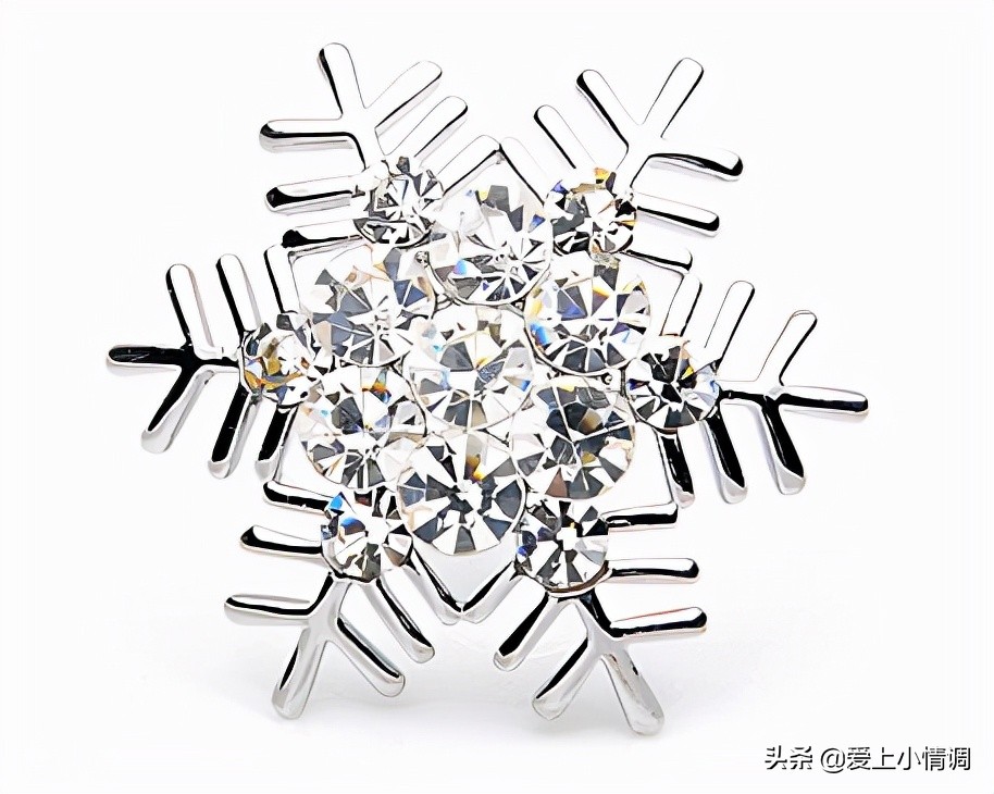 施华洛世奇胸针有logo,施华洛世奇胸针说明