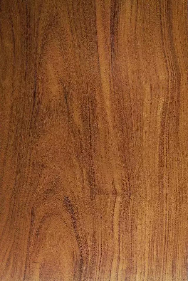 最美木皮,轻奢极简天然木皮