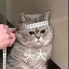 花爸双十一真实“打”榜,母婴类热销榜上有哪些不为人知的黑历史