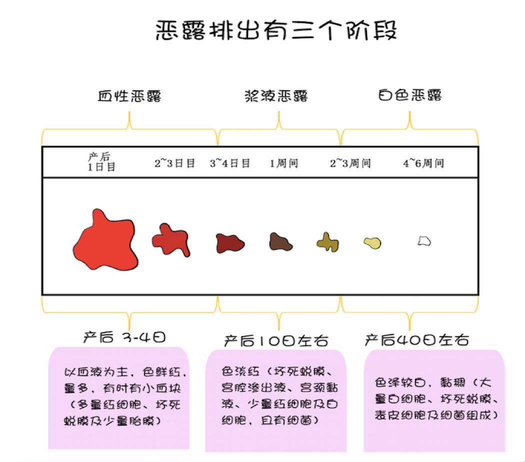 产后恢复最全干货,产后恢复知识在线听