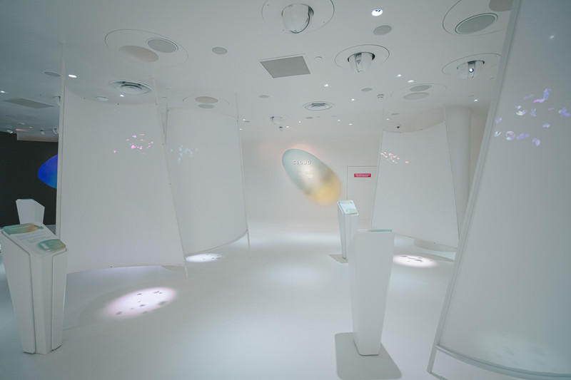 一人一猫环游,一人一猫旅行