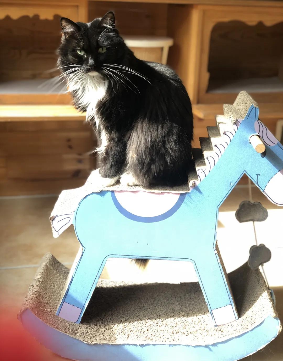 拼头条吗？好姐妹就要一起上啊