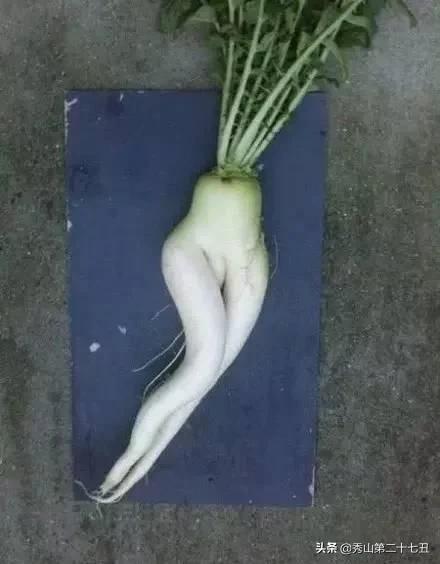 女生的腿可以折叠吗,女生的腿可以弯到什么程度