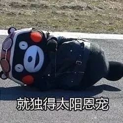 uv高倍防晒帽,可折叠遮阳帽uv防晒帽