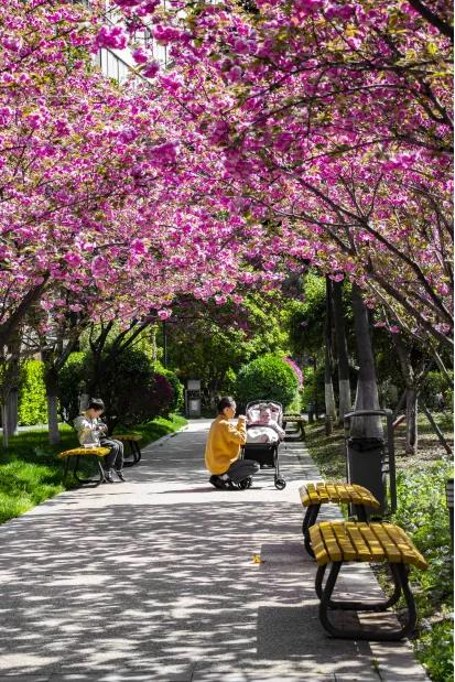 南京金地名京地址,南京金地名京实图