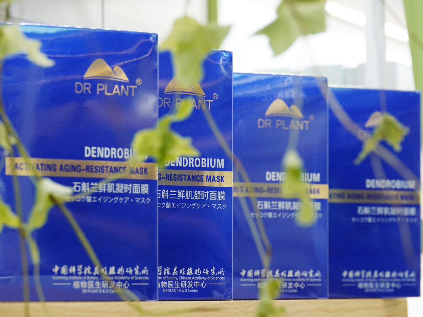 最先登陆日本的产品,首个进入国外市场的中国品牌