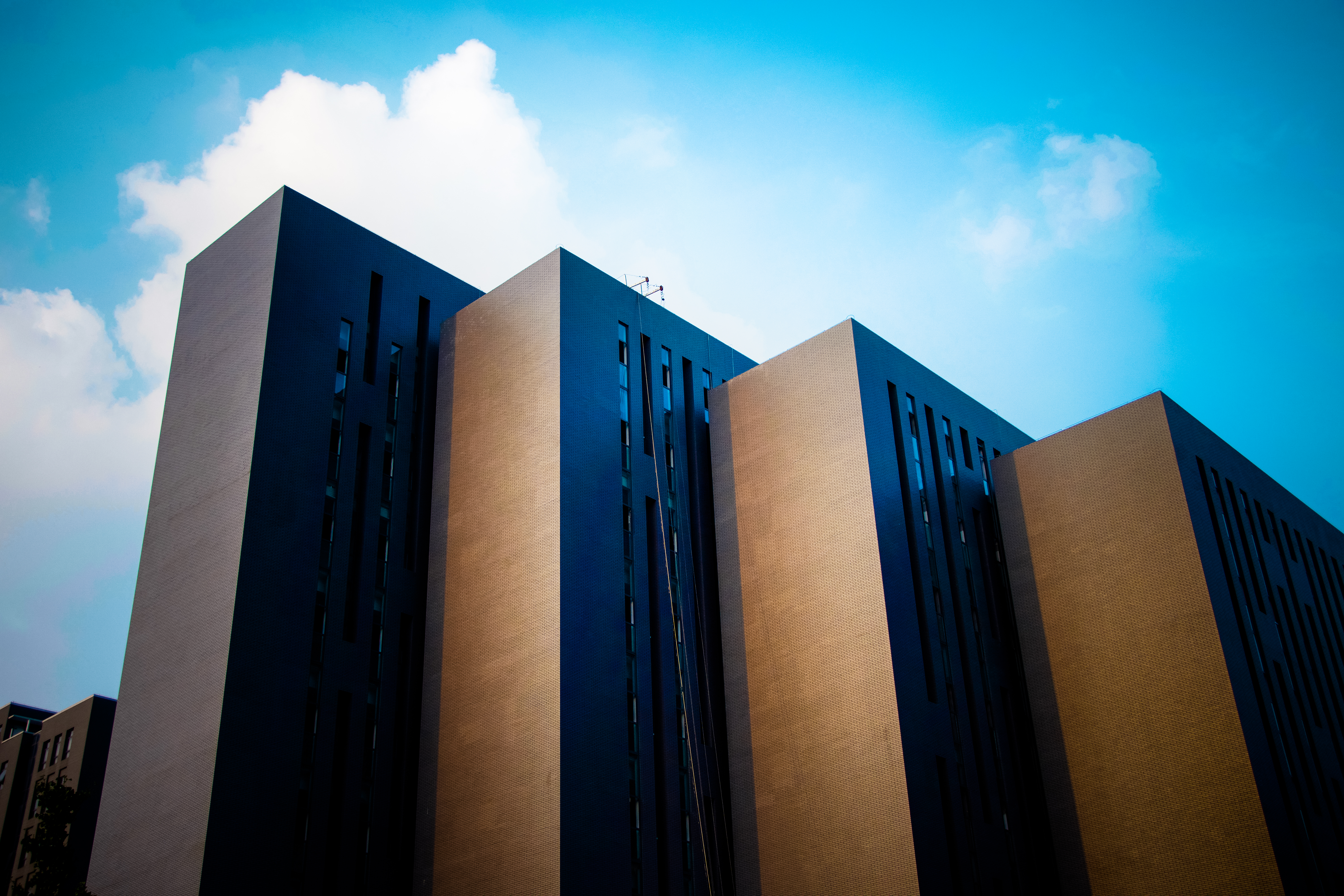 【专业的秘密】北京石油化工学院会计学专业