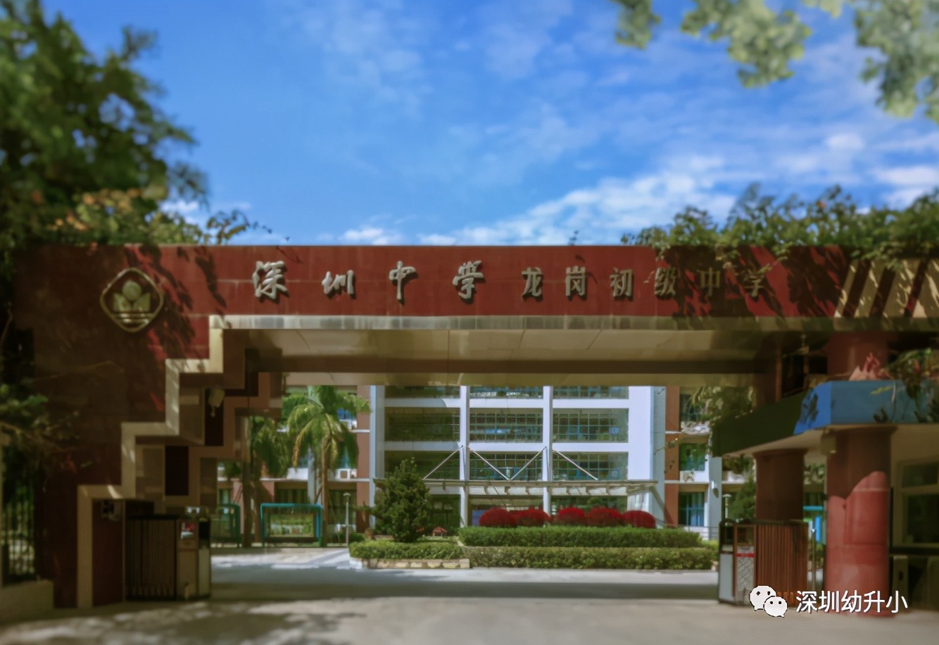 王炸组合2023排名,初中选科王炸组合