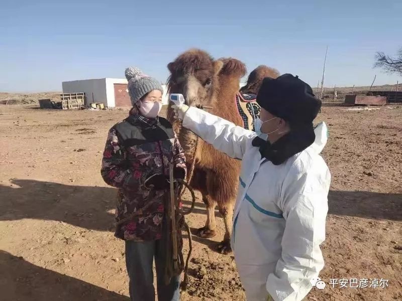 新疆巴彦淖尔边境管理支队,巴彦淖尔市公安局边境管理支队