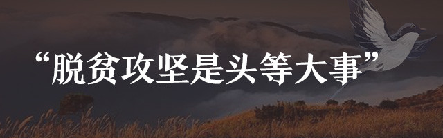 待到山花烂漫——追记“最美扶贫书记”黄诗燕