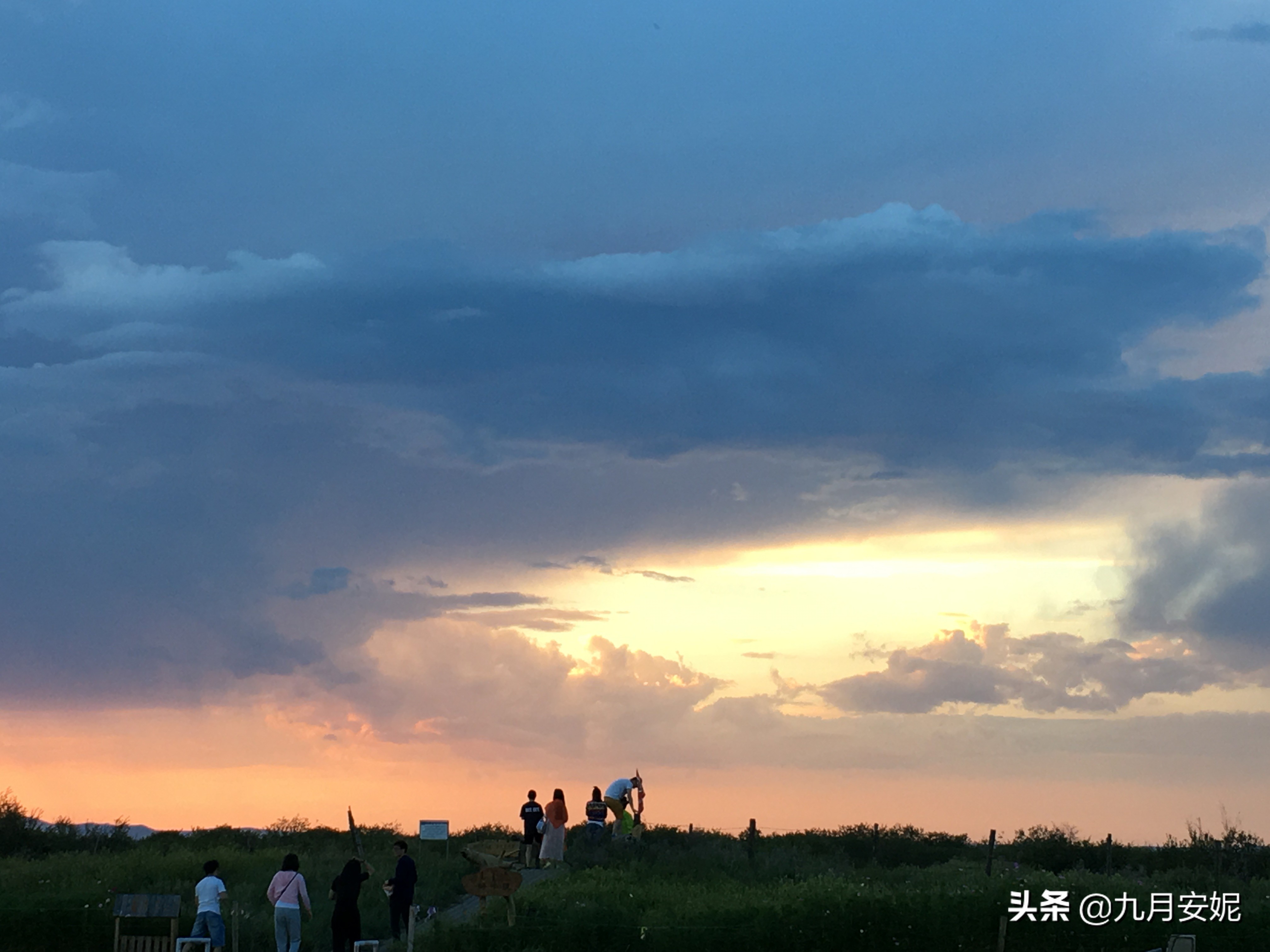 去达里湖看华子鱼洄游,达里诺尔湖华子鱼洄游在哪里