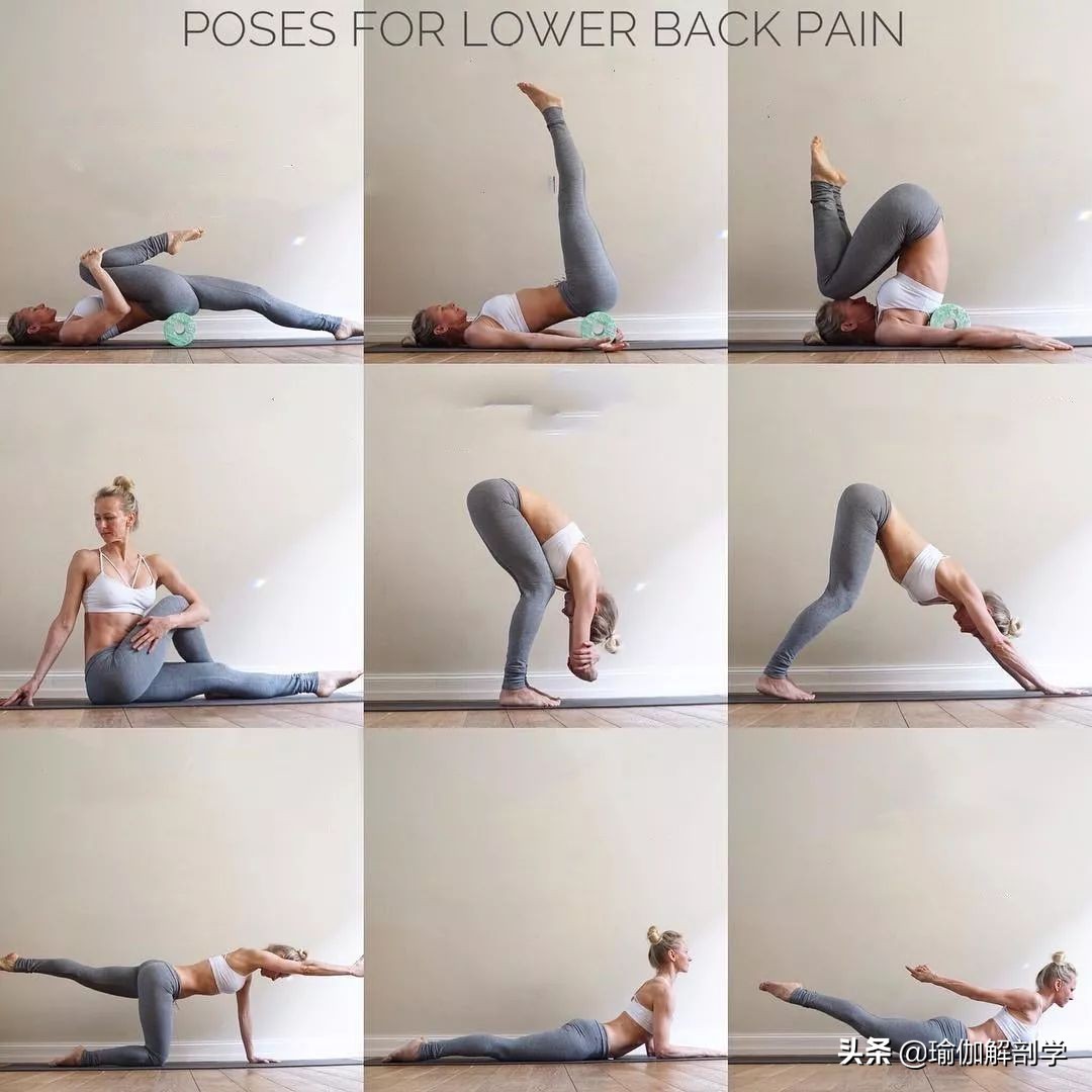 给大家推荐一套瑜伽练习序列,最适合瑜伽初学者练的50个体式