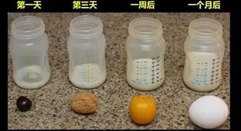 新生儿过度喂养有什么危害,新生儿过度喂养症状包含水吗