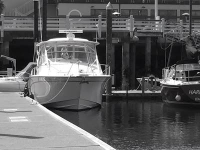 彩绘画教程入门风景画,绘画入门零基础风景画