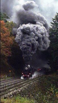 可爱搞笑图片可直接保存,搞笑图片现在的年轻妹纸真会玩啊