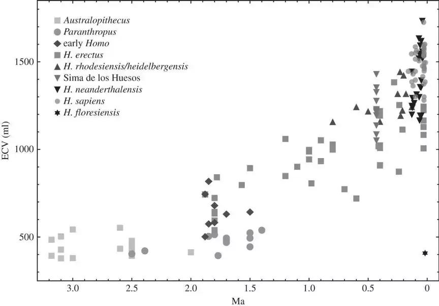 耶鲁大学教授：吃鱼不如吃骨髓！想变聪明、变漂亮最好去吃骨髓！