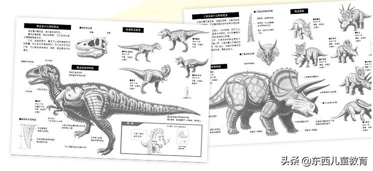 科学家发现喜欢恐龙的娃更聪明,为什么痴迷恐龙的孩子更聪明