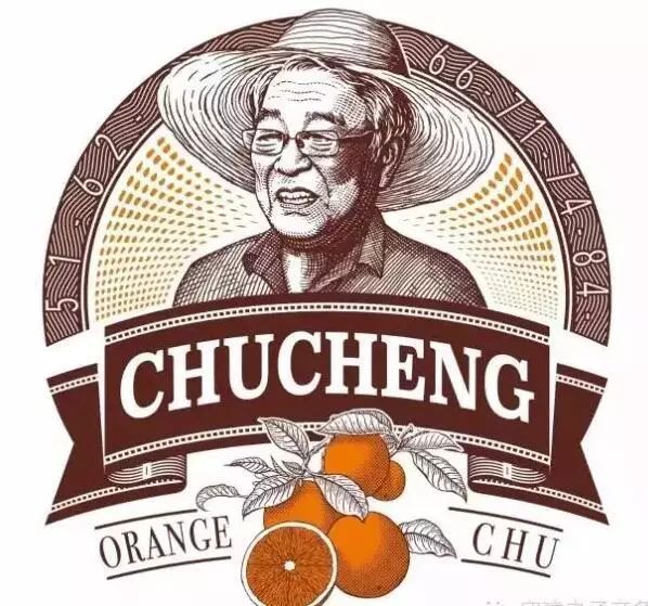 农业失败案例及解析,农业案例分析及解读