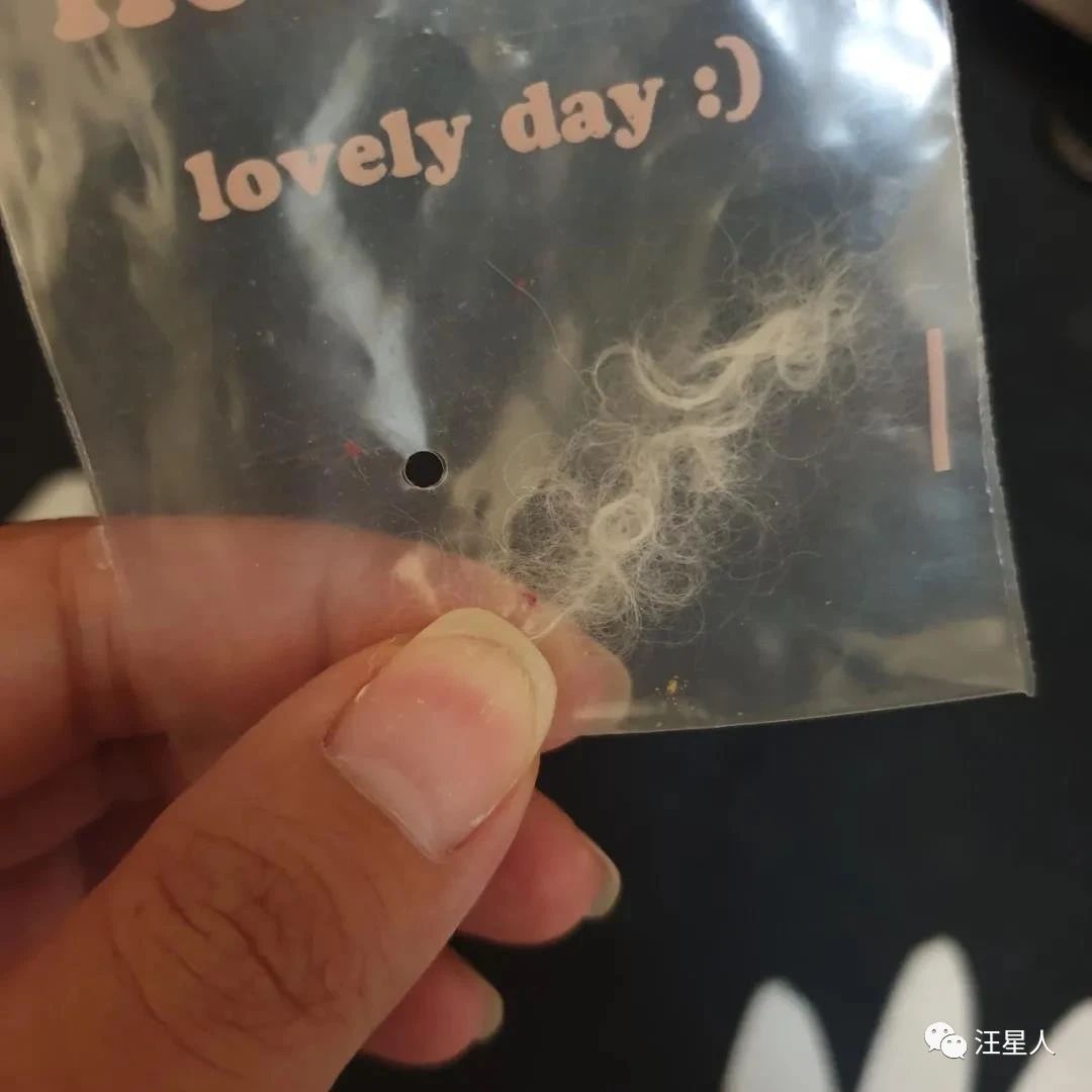 狗狗心脏病突发死亡需要多长时间,11岁的狗狗死了