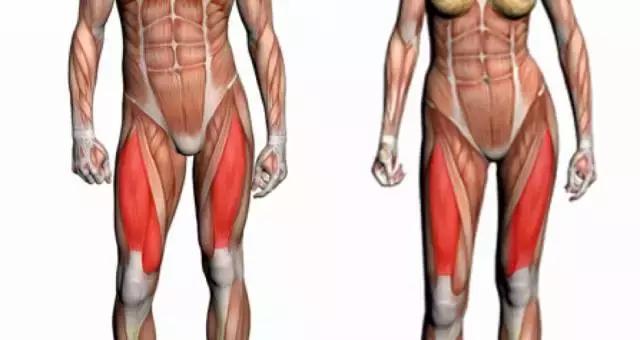 什么动作缓解膝盖两侧疼,两个动作快速治疗膝盖疼