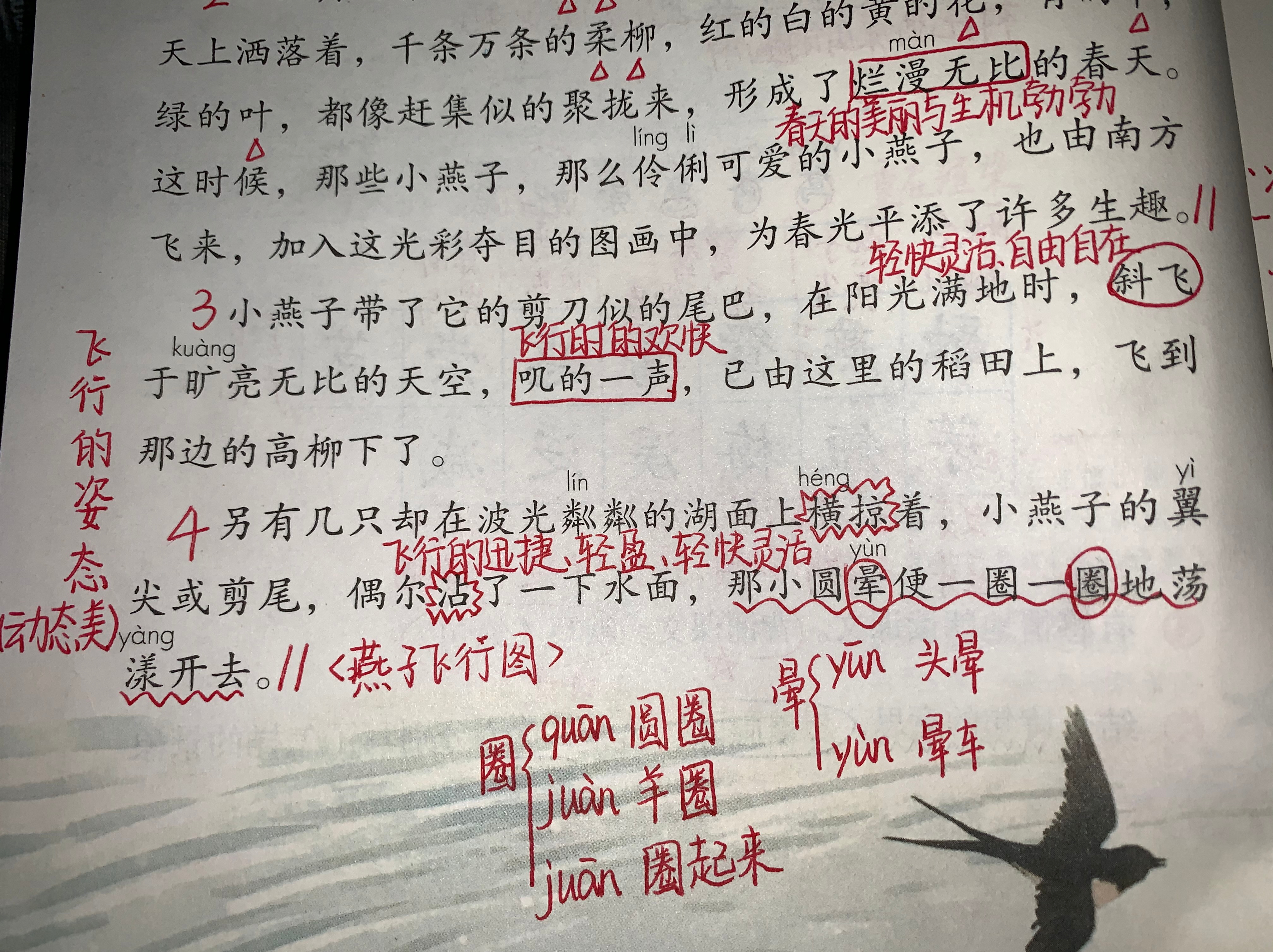 三年级语文燕子复习,三年级语文下册燕子老师整理笔记