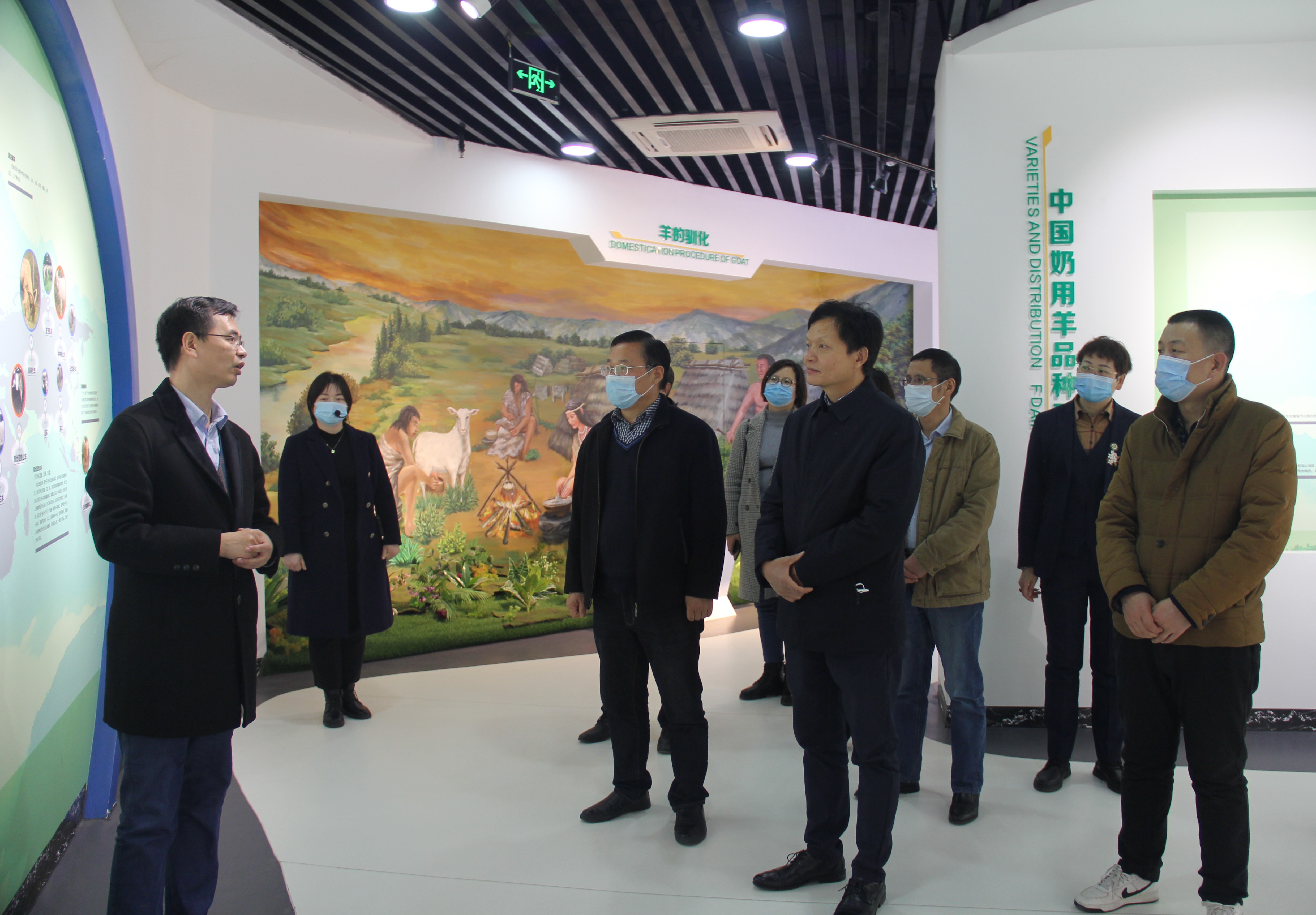 强化体质奶粉,加强奶粉