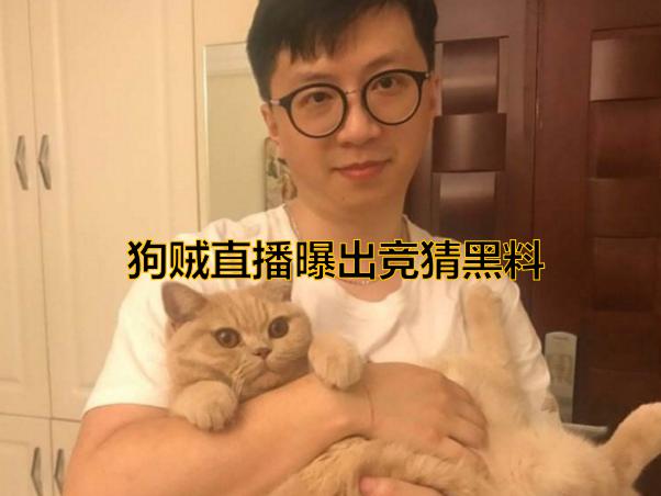 炉石传说狗贼事件后续,炉石主播狗贼宣布不再开直播竞猜