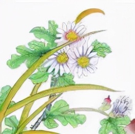 临汾新闻早知道|7县暴雨预警；7所公办幼儿园招生时间及名额；3所学校招聘；商场口设接种点；洪洞限停通告