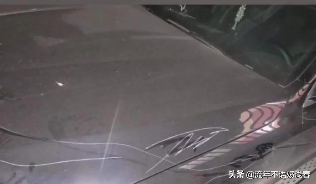 双胞胎鉴定同母异父,双胞胎鉴定同母异父视频完整版