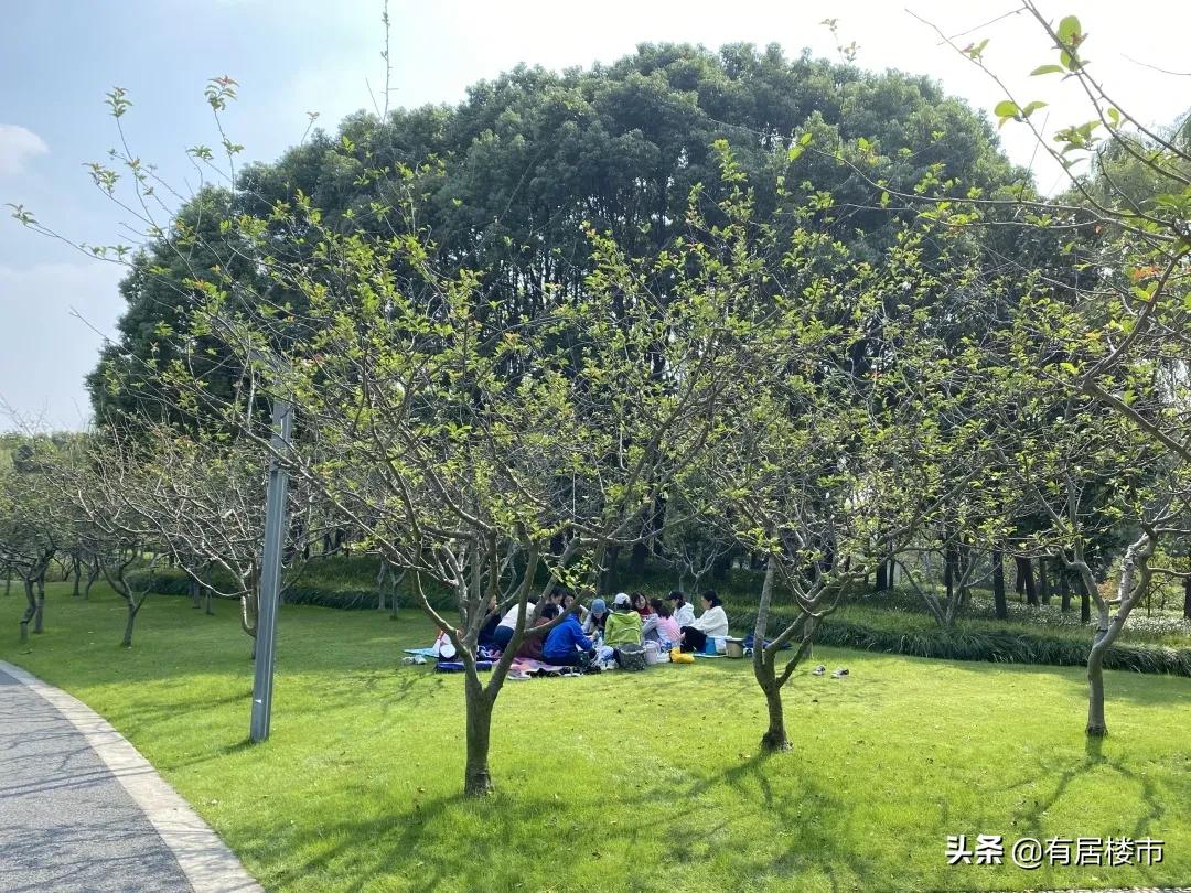 航线下的房子最大缺点,上海七宝房价下跌最快的区