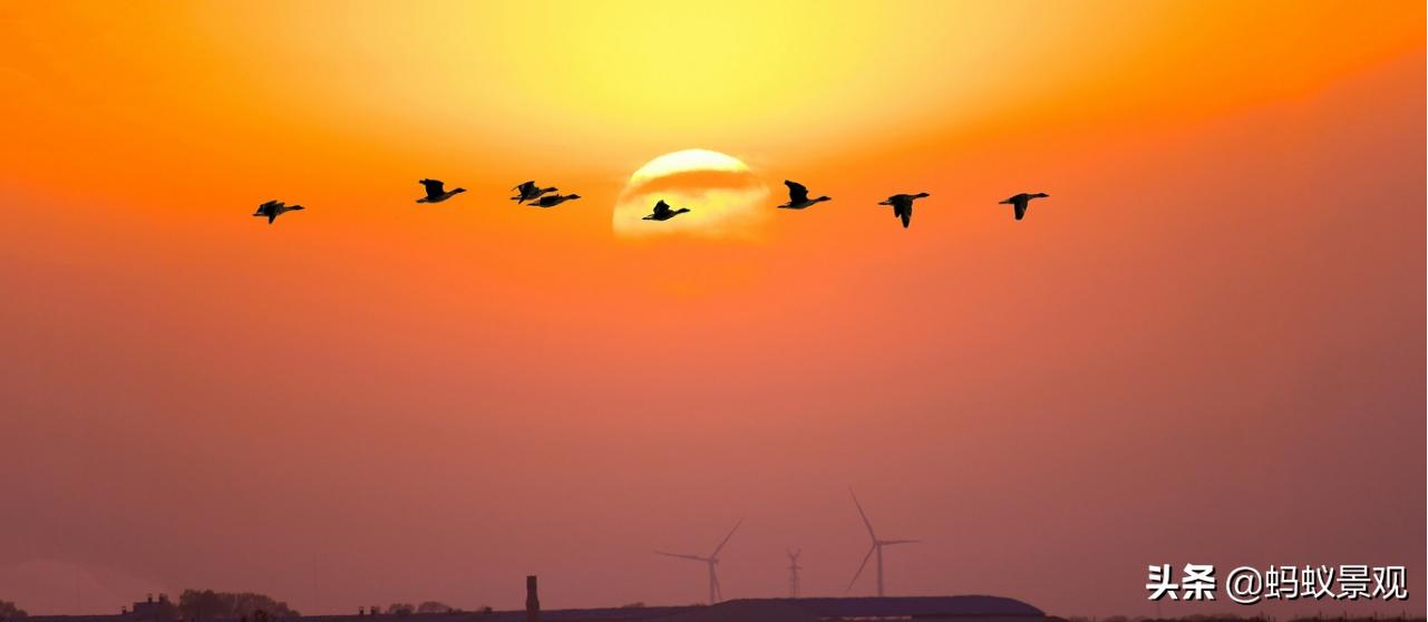 陈从周的园林作品有哪些,陈从周中国园林风格