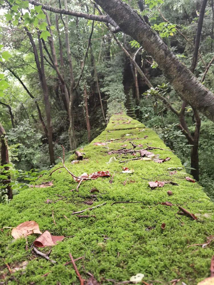 黔南第一山在什么地方,黔南第一山在哪里