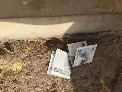 西安法律咨询公司|捡到他人财物索要感谢费合法吗？