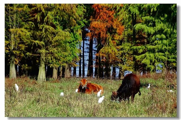 余姚四明湖开元山庄,余姚四明湖开元山庄自驾游