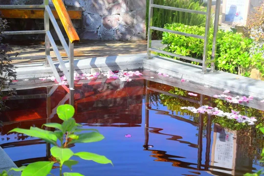 爱上哈尔滨的n个理由,爱上呼市的n个理由