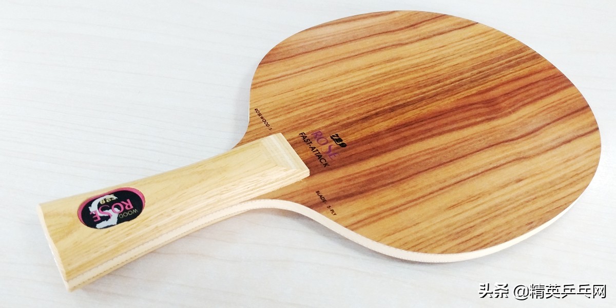 玫瑰摇曳各显风情——729玫瑰5、斯帝卡玫瑰5、亚萨卡玫瑰5