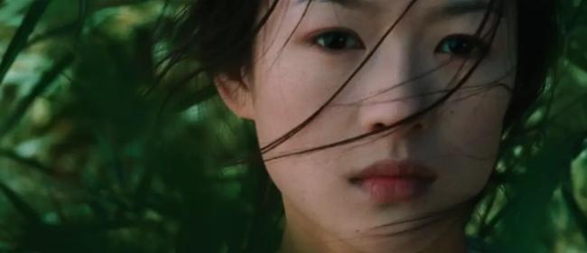 娱乐圈四旦双冰是谁,四大天王四旦双冰现状