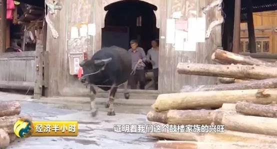 种田不用化肥农药,种田不用肥料