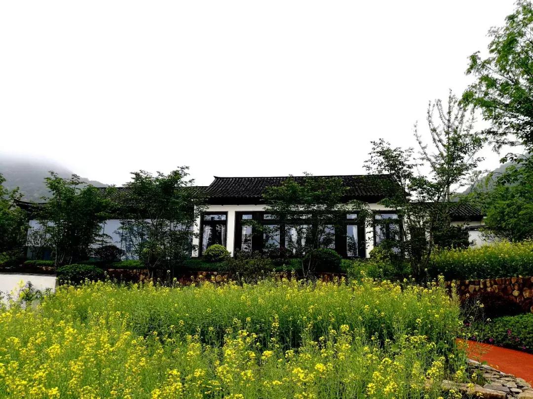 未来科技城一手房源,未来科技城中式别墅70年产权