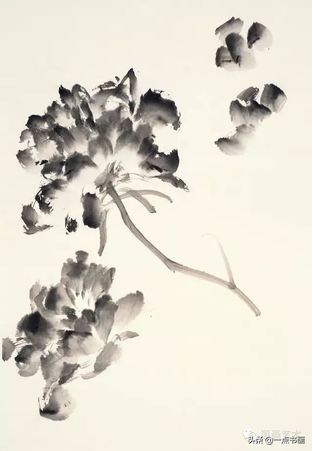 王绣写意牡丹画法步骤,王兮然写意牡丹画法视频大全