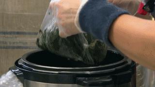 出国被海关劝退护照签证还能用吗,出国被海关劝返签证还能用吗