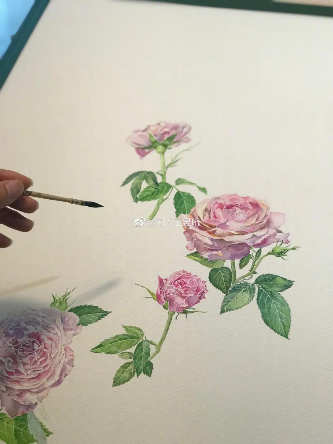 王昱珩不上班做到财富自由,最强大脑王昱珩清华毕业后不上班