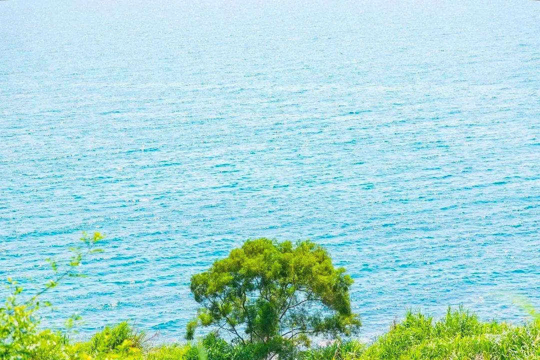 深圳这10条绿道你去过没,深圳十大绿道排行榜