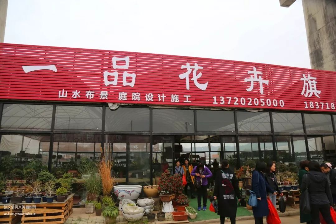 园艺沙龙|前方高能！一大波人相约逛花市，究竟淘了些啥？