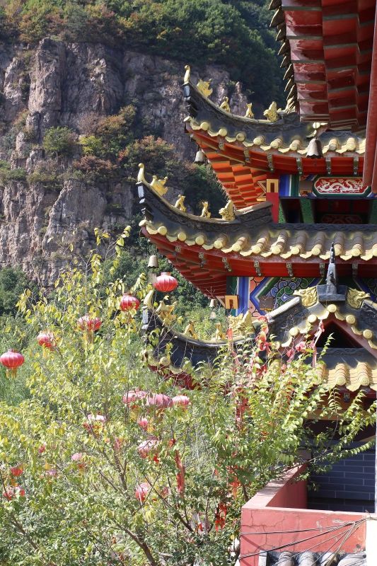 南芬钓鱼台玉龙观酒坊,游走紫竹院