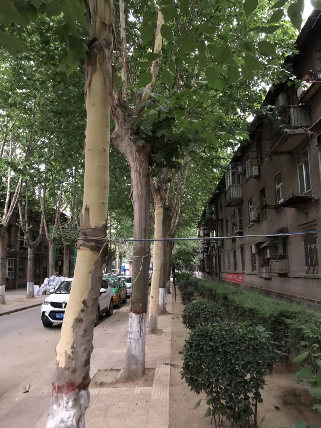 纺织城为什么没落后,西安纺织城没落历史