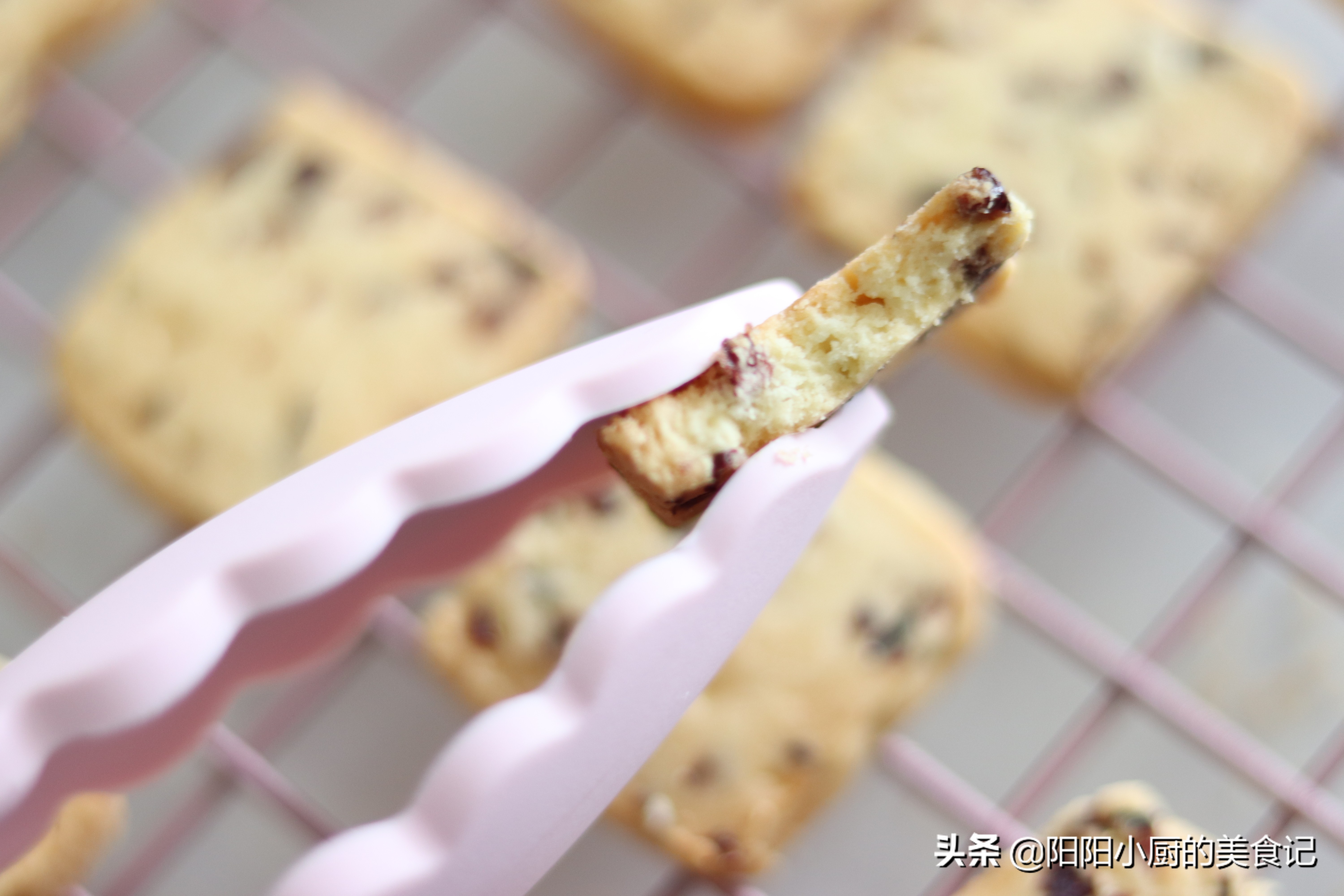 烘焙零基础自学制作小饼干,新手做曲奇饼干的烤箱