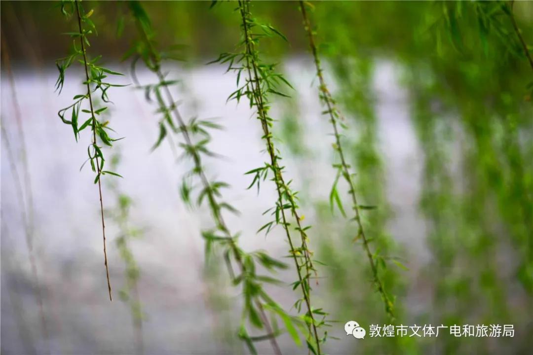 鏁︾厡灞卞簞搴櫌鏅,鏁︾厡灞卞簞搴櫌娣卞害